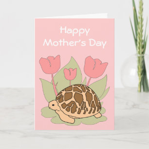  Star Tortoise Card 6 Kaart