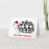 Star Tortoise Christmas Kaart (elf pet) (Voorkant)