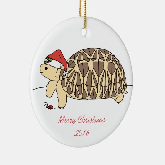  Star Tortoise Ornament (Rechts)