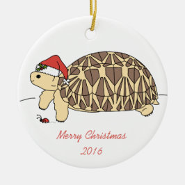  Star Tortoise Ornament
