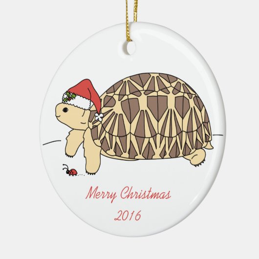 Star Tortoise Ornament (Links)