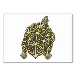 Star Tortoise Turtle Reading Flashcards voor volwa Kaart