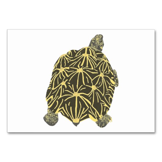 Star Tortoise Turtle Reading Flashcards voor volwa Kaart (Voorkant)