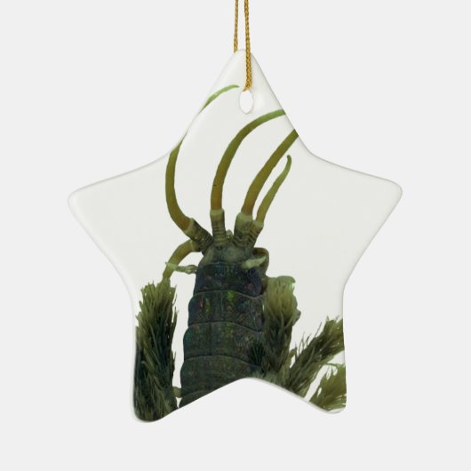 Star-vormig veelhoekige kerstversiering keramisch ornament (Rechts)