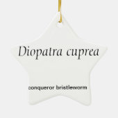 Star-vormig veelhoekige kerstversiering keramisch ornament (Achterkant)