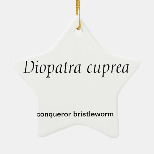 Star-vormig veelhoekige kerstversiering keramisch ornament (Achterkant)