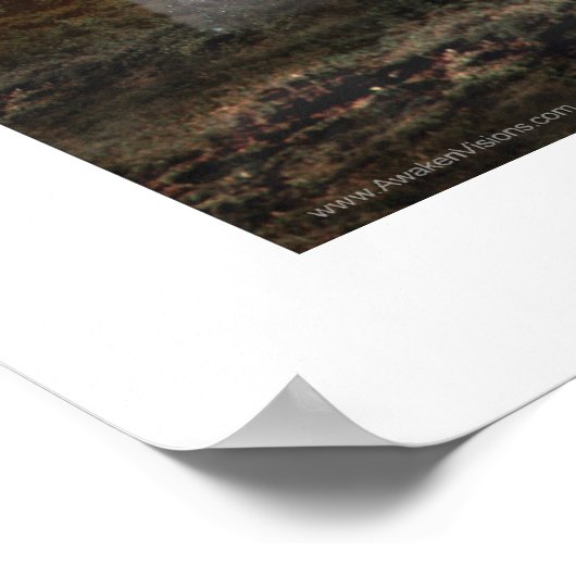 Star Wolf Poster (Hoek)