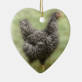 Starburst Chicken Young Barred Plymouth Rock Hen Keramisch Ornament (Rechts)