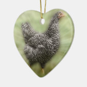 Starburst Chicken Young Barred Plymouth Rock Hen Keramisch Ornament (Links)