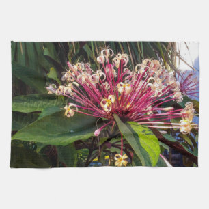 Starburst Clerodendrum Flowers Kitchen Towels Theedoek