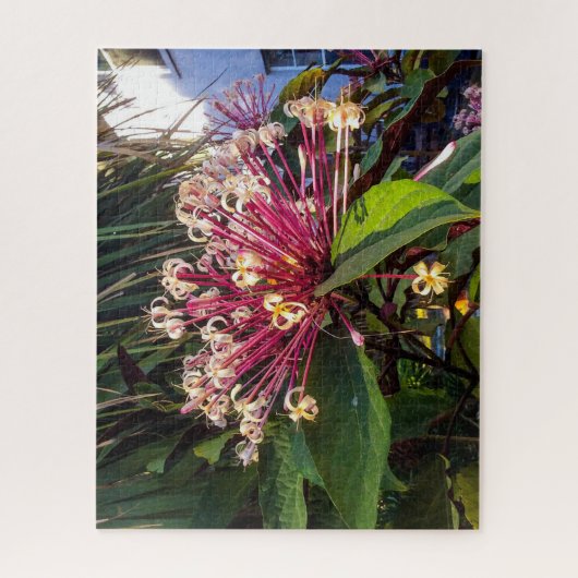 Starburst Clerodendrum Flowers Puzzle Legpuzzel (Verticaal)