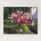 Starburst Clerodendrum Flowers Puzzle Legpuzzel (Horizontaal)
