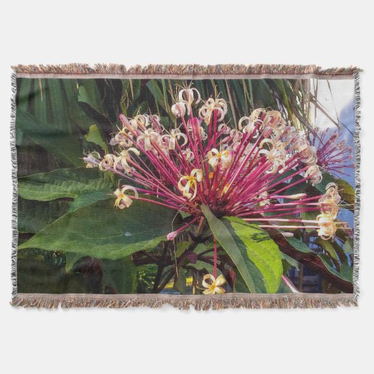 Starburst Clerodendrum Flowers Throw Blanket Deken (Voorkant)