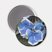 Starburst Hortensia (blauw en wit) magneet (Voorkant / Achterkant)