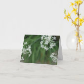 Starburst Kaart (Gele Bloem)