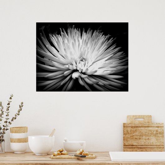 Starburst Mum Blossom Poster Print (Keuken)