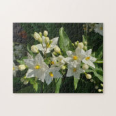 Starburst Tuin Bloesem Puzzel (Horizontaal)