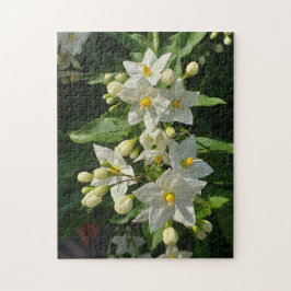 Starburst Tuin Bloesem Puzzel