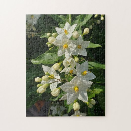 Starburst Tuin Bloesem Puzzel (Verticaal)