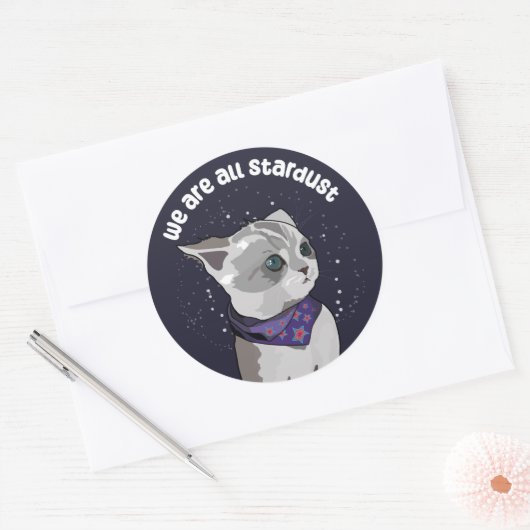 Stardust Kitten Ronde Sticker (Envelop)