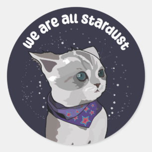 Stardust Kitten Ronde Sticker