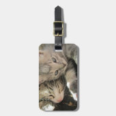 Stardust Kittens Bagagelabel (Voorkant verticaal)