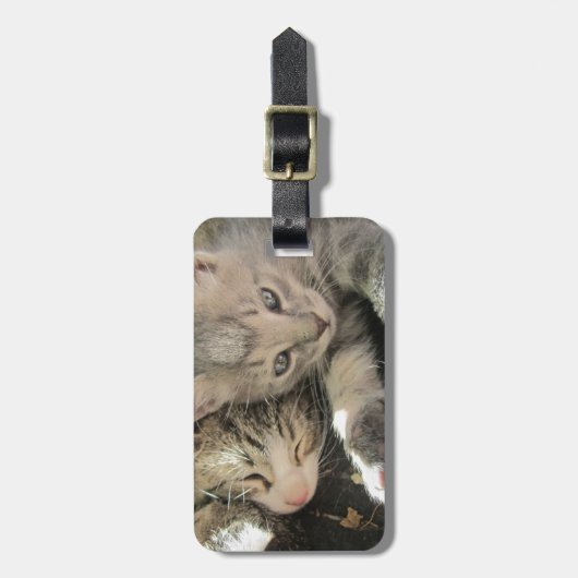 Stardust Kittens Bagagelabel (Voorkant verticaal)