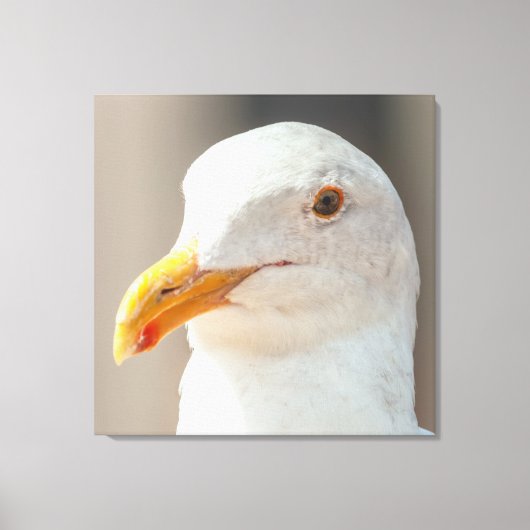 Stare Canvas Afdruk (Voorkant)