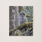Stare Down with the Owl Legpuzzel (Verticaal)