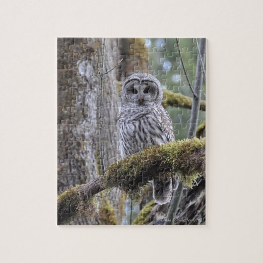 Stare Down with the Owl Legpuzzel (Verticaal)