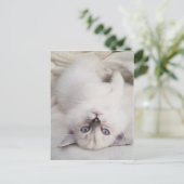 Stare neer briefkaart (Staand voorkant)