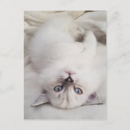 Stare neer briefkaart