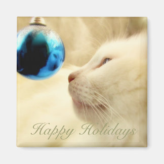 staren op een blauwe ster magneet