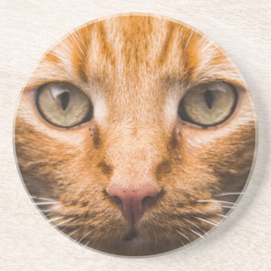 Starende kat zandsteen onderzetter (Voorkant)