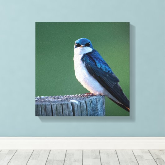 starende mus canvas afdruk (Insitu (Houten vloer))