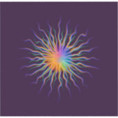 Stareye Sticker (Voorkant)