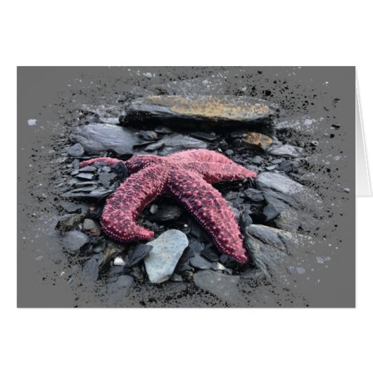 Starfish - 5 x 7 inch Art Kaart (Voorkant Horizontaal)