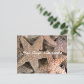 Starfish all round, San Diego, Californië Briefkaart (Staand voorkant)
