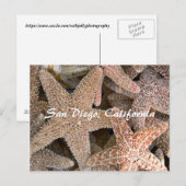 Starfish all round, San Diego, Californië Briefkaart (Voorkant / Achterkant)