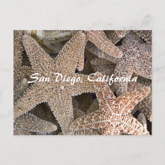 Starfish all round, San Diego, Californië Briefkaart (Voorkant)