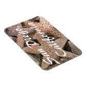 Starfish all round, San Diego, Californië Magneet (Rechterzijde)