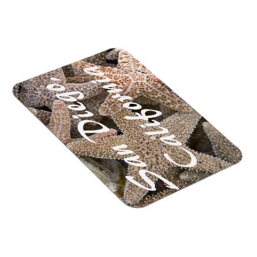 Starfish all round, San Diego, Californië Magneet (Rechterzijde)