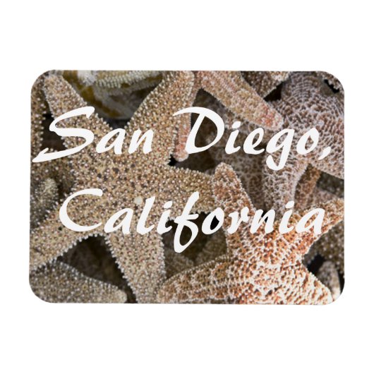 Starfish all round, San Diego, Californië Magneet (Horizontaal)
