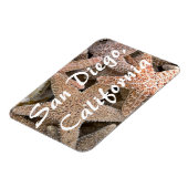 Starfish all round, San Diego, Californië Magneet (Linkerzijde)