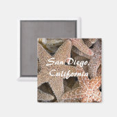 Starfish all round, San Diego, Californië Magneet (Voorkant / Achterkant)