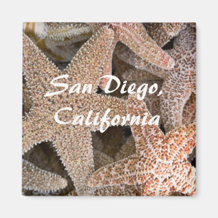 Starfish all round, San Diego, Californië Magneet