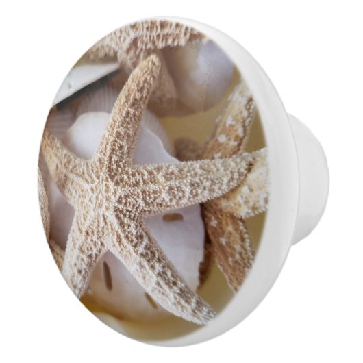 Starfish and Silver Dollar Coastal Ceramic Knob. Keramische Knop (Rechts)