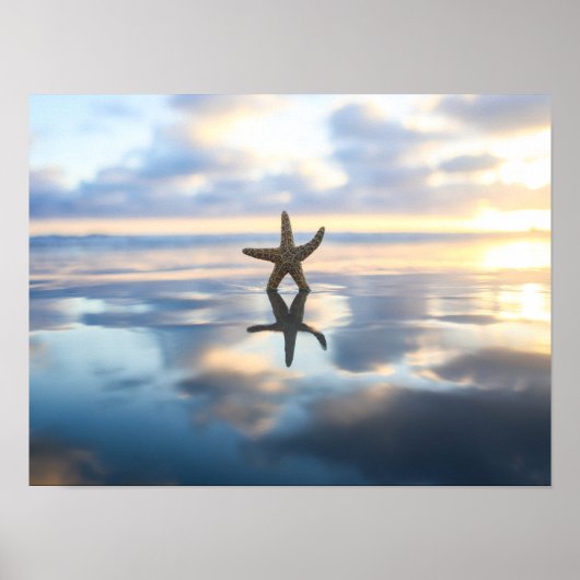 Starfish at the beach photo poster print (Voorkant)