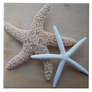 Starfish Beach Home Decoratieve Plein Tegel Tegeltje