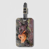 Starfish bij Bob Creek, OF Bagagelabel (Voorkant (verticaal))